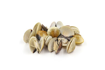 Closed up fresh baby clams, venus shell, shellfish, carpet clams, short necked clams, as raw food from the sea are the seafood ingredients. fresh clams isolated on white background.