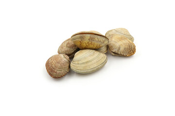 Closed up fresh baby clams, venus shell, shellfish, carpet clams, short necked clams, as raw food from the sea are the seafood ingredients. fresh clams Background.