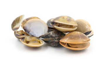 Closed up fresh baby clams, venus shell, shellfish, carpet clams, short necked clams, as raw food from the sea are the seafood ingredients. fresh clams isolated on white background.