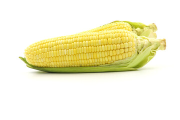 Fresh Corn on White Background. Healthy Sweet Corn on White. Vegetable Corn on White Background. Organic Corn on White. Close-up of Corn on White Background.