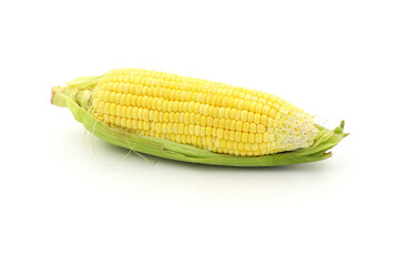 Fresh Corn on White Background. Healthy Sweet Corn on White. Vegetable Corn on White Background. Organic Corn on White. Close-up of Corn on White Background.