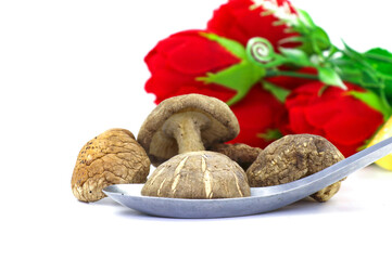 Chinese traditional food material: Shiitake mushrooms