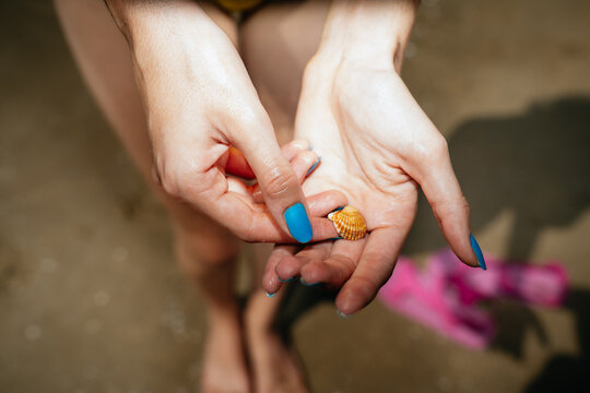 Holding a tiny Sea shell