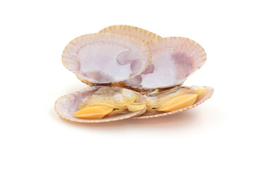 Closed up fresh baby clams, venus shell, shellfish, carpet clams, short necked clams, as raw food from the sea are the seafood ingredients. fresh clams Background..