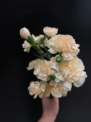 bouquet of peach carnations