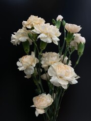Carnation flower bouquet