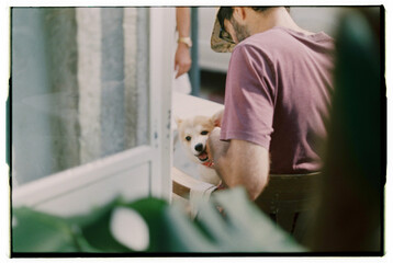 Cute dog bite a friend hand