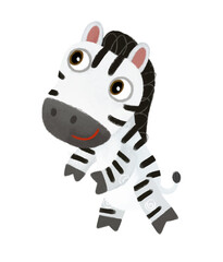 Fototapeta premium cartoon scene with wild animal zebra horse doing things like human on white background illustration for children