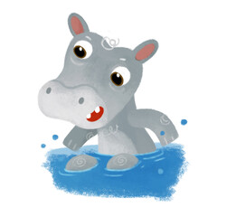 cartoon scene with happy little boy hippo hippopotamus having fun swimming in the water on white background illustration for children