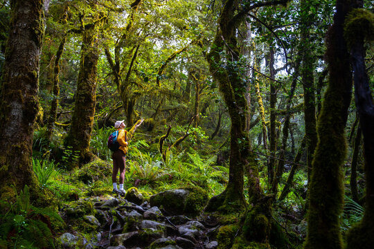 hiker girl walking through dense rainforest with native plants on the way to lake marian in fiordland national park, famous track near milford sound in new zealand south island