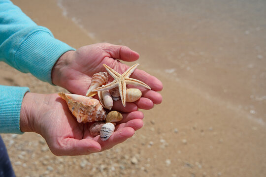 A tourist holds a collection of shells