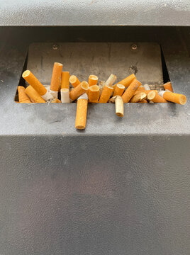 cigarette butts