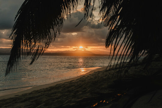 Sunset over the tropical beach with coconut palm