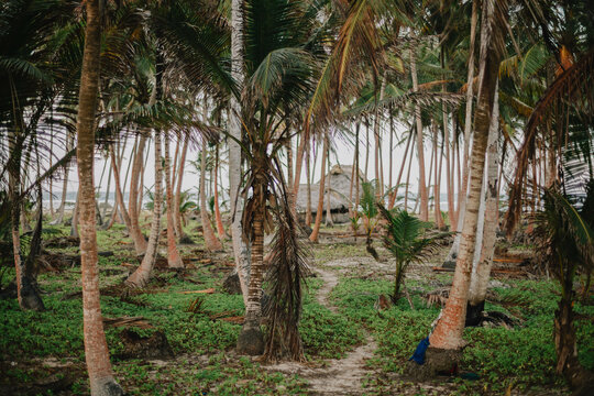Paradise Tropical Island in Panama - San Blas - Kuna Yala