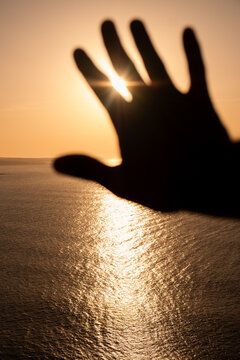 Detailed silhouette of a hand symbolizing the idea of freedom