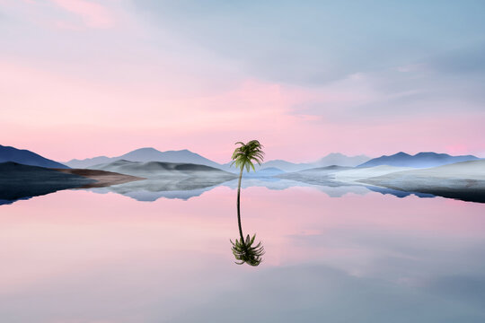 A lone palm tree is reflected in the still water of a lake
