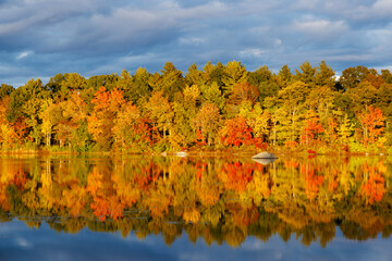 Autumn Foliage with Reflection
