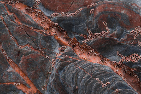 Abstract Crimson Flysch Stone Formation