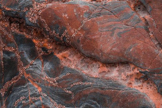 Abstract Crimson Flysch Stone Formation