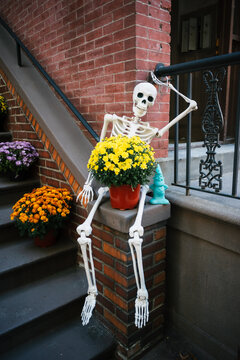 funny skeleton on the stoop, halloween decoration