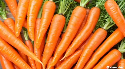 Fresh large organic carrots, vibrant and textured, ideal for food and health concepts