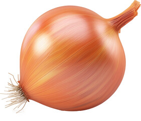 Onion on Transparent Background