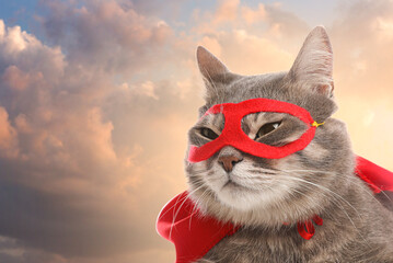 Adorable cat in red superhero cape and mask against cloudy sky, space for text