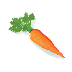 Carrot. flat vector illustration isloated on white