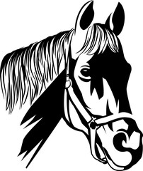 Horse Head Vector Art Graphics