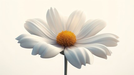 Close-up of a white daisy on a soft background