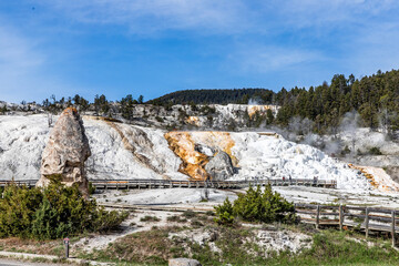 Mammoth Hot Springs- Yellowstone National Park