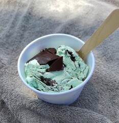 チョコミントアイス