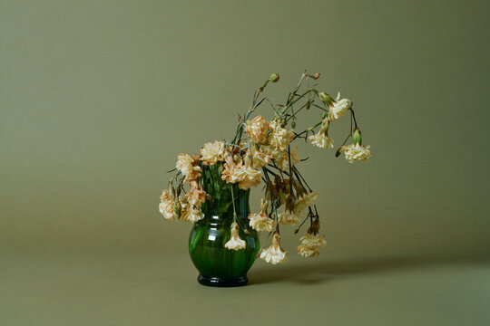 bouquet of wilted carnations in a vase