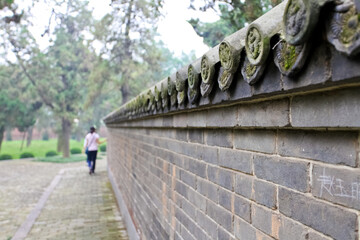 the beautiful walls of an old palace