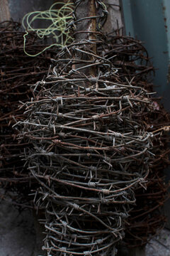 Hank of a barbed wire