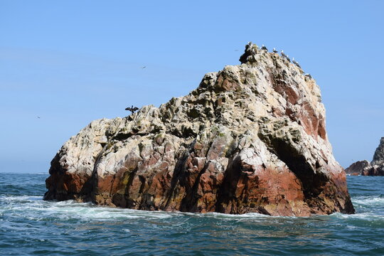 PARACAS - Iles Ballestas au P&eacute;rou