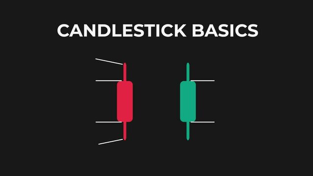 Animation of Candlestick Basics suitable for Trading Learning Videos