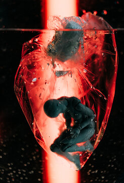 A doll on hinges in a package.