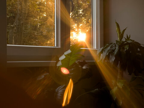 Indoor window view of the sunset