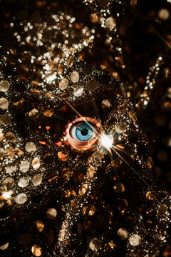 blue eye
