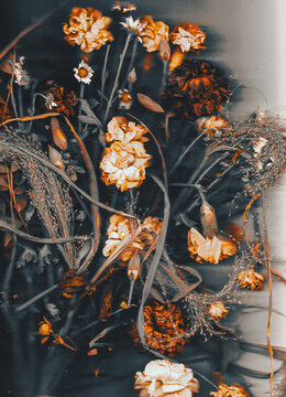 Dried Flowers