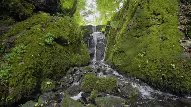 Slow motion water fall in beautiful mossy creek in lush forest