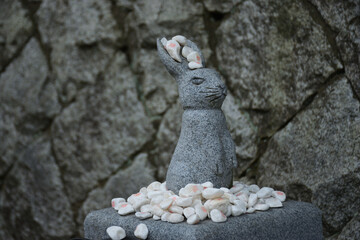 結び石に囲まれた白兎神社のウサギの石像
