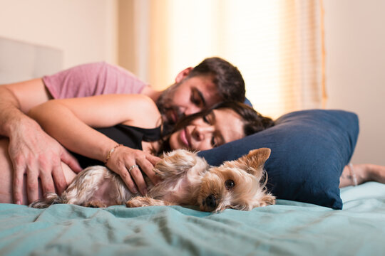 Relaxed pregnant couple caressing cute dog on bed - Powered by Adobe