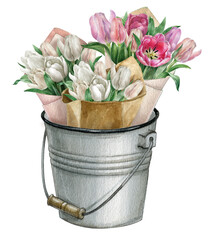Watercolor spring flowers, white and pink tulip bouquets in a galvanized iron bucket, rustic easter flower, mother's day postcard. Florist shop, fresh flower market © Fefelova Yana