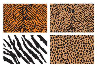 animal skin vector pattern backround
