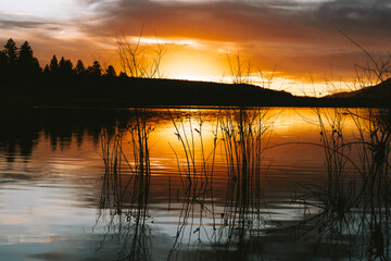 Bright orange sunset over a lake with reeds coming out of the water, big bear lake, big bear, California, 