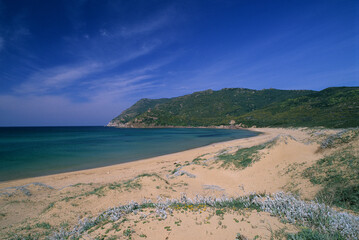 Obraz premium beach with sky and clouds, Sandy dune in Porto Ferro, between Lake Baratz and the coast. Sassari, Alghero, Sardinia. Italy.