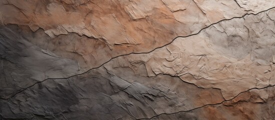 Close-up of a textured wall surface 