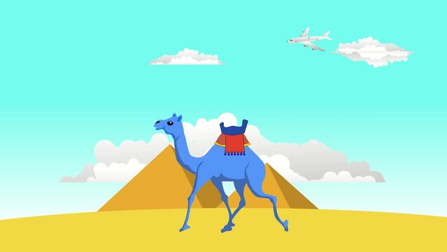 blue camel walking in the egypt pyramids animation cartoon